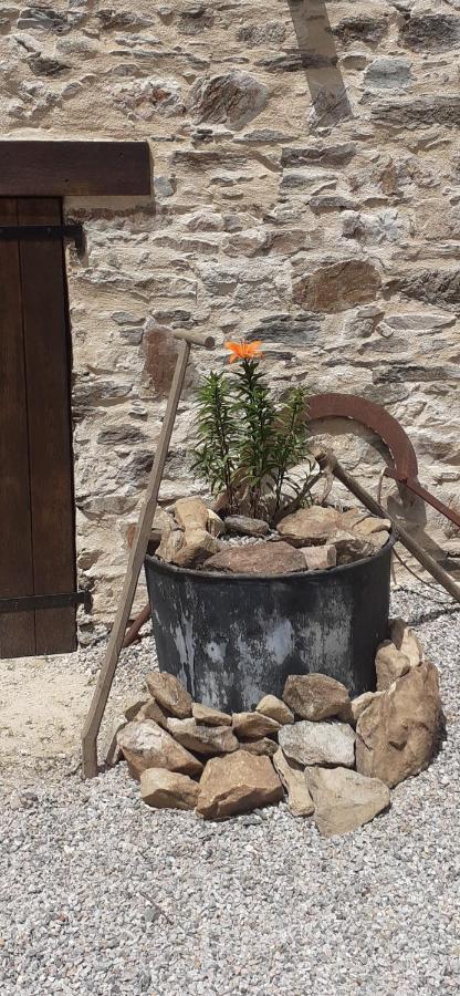 Benayes Chambre Dhotes B&B Le Figuier מראה חיצוני תמונה
